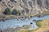 IMG_4231