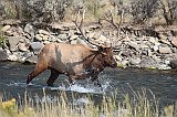 IMG_4253