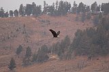 IMG_4301