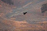 IMG_4304