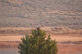 IMG_4309