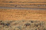 IMG_4321