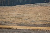 IMG_4327