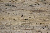 IMG_4353