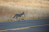IMG_4428