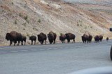 IMG_4447