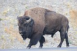 IMG_4448
