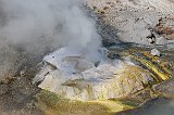IMG_4530