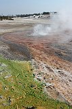 IMG_4556