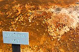 IMG_4640