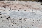 IMG_4646
