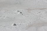 IMG_4650