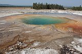 IMG_4720