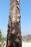 IMG_4761