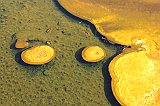IMG_4801