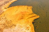 IMG_4804