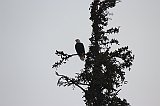 IMG_4920