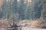 IMG_4921