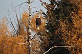 IMG_4943