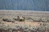 IMG_4969
