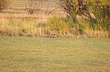 IMG_4985