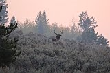 IMG_5111