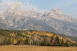 IMG_5129