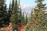 IMG_5156