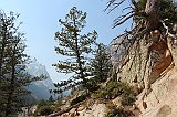 IMG_5295