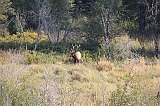 IMG_5347