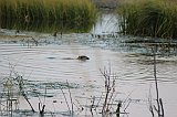 IMG_5356