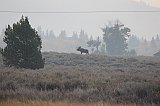 IMG_5434