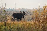 IMG_5458