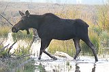 IMG_5479