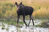 IMG_5482