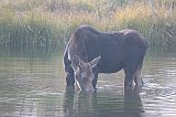 IMG_5517