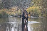 IMG_5529