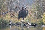 IMG_5545