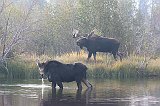 IMG_5550