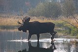 IMG_5561