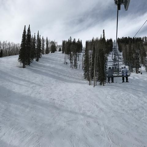 IMG 9032