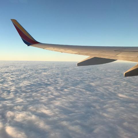 IMG 7452