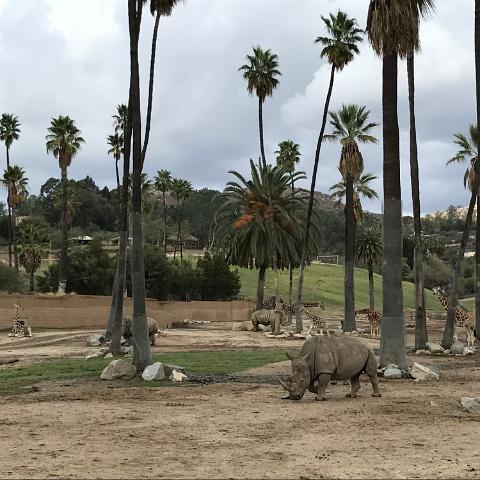 IMG 7764