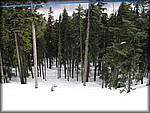 120_2051.JPG