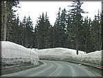 123_2320.JPG