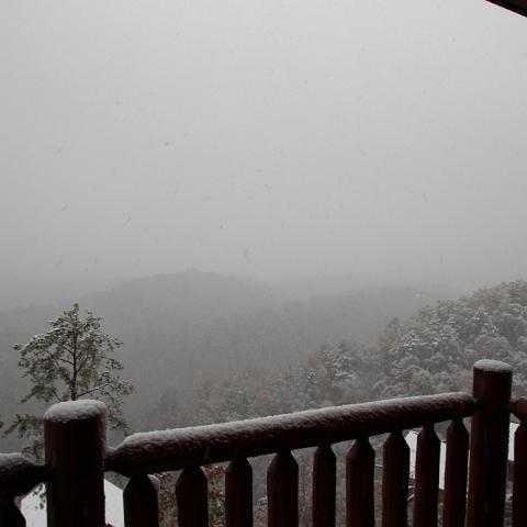 IMG 1599