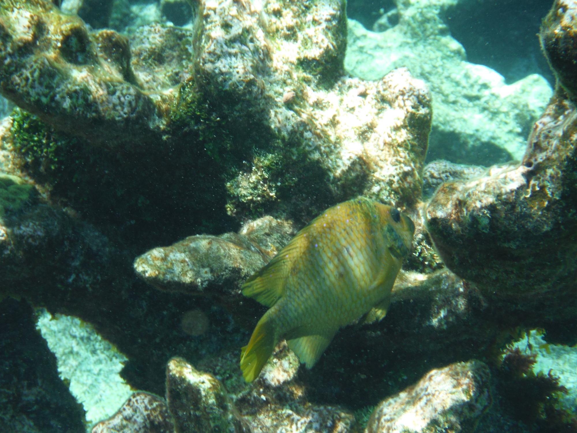 DSCF1467