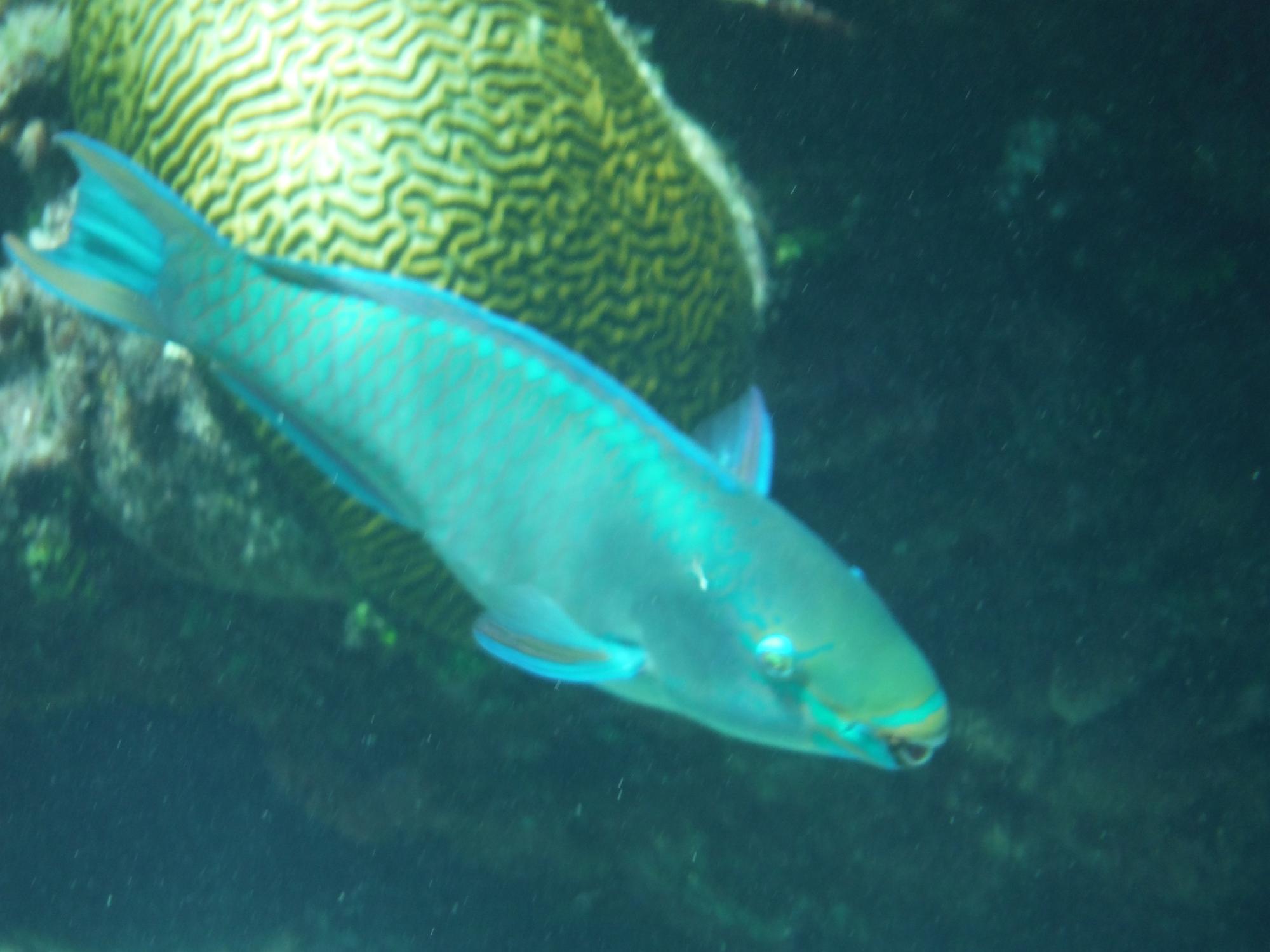 DSCF1469