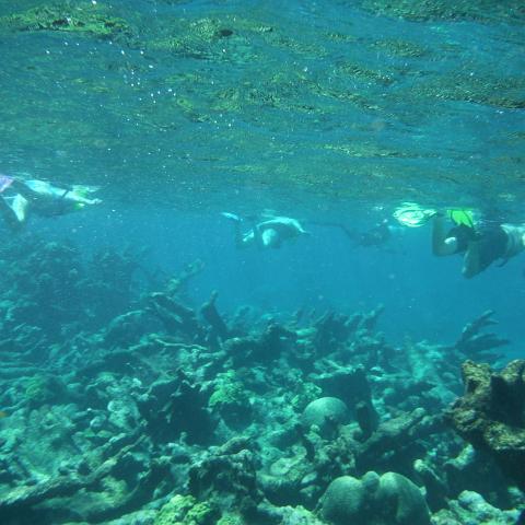 DSCF1416