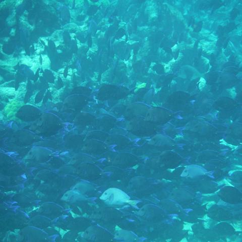 DSCF1439